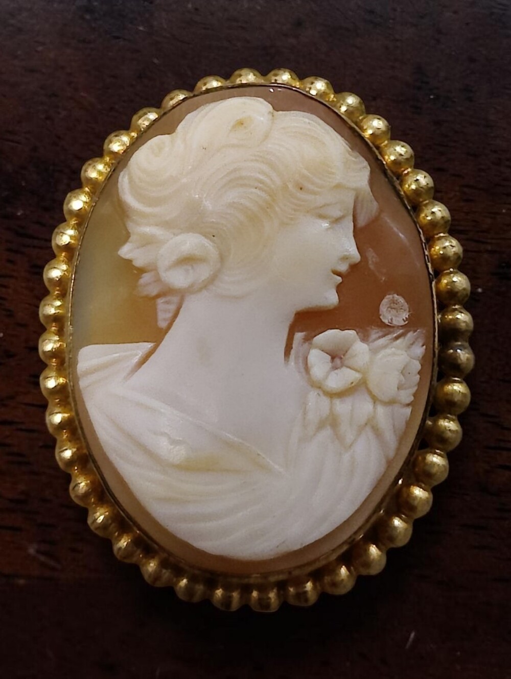 Vintage Gold Filled Shell Cameo Pendant/Brooch